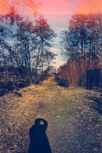 Shadow of man on road in field