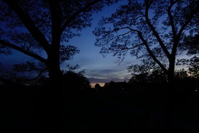 Low angle view of silhouette trees against sky