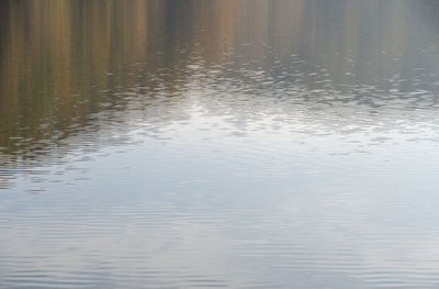 Reflection of clouds in water