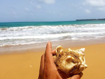 Close-up of hand holding seashell at beach against sky