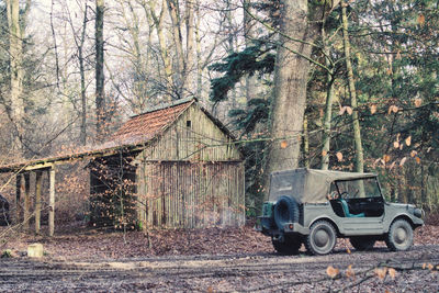 Abandoned house by trees in forest