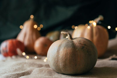 Ripe large pumpkins of various shapes with a garland. rustic still life.