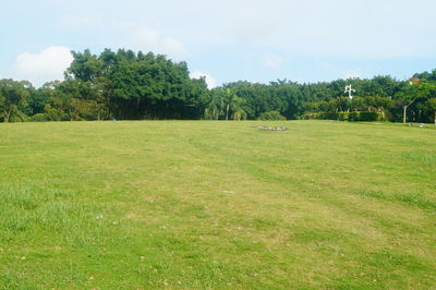 Scenic view of field against sky