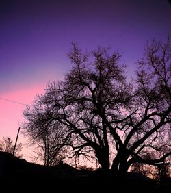 Low angle view of silhouette trees against sky at sunset