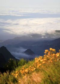 Scenic view of sea against cloudy sky