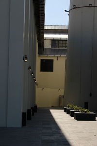 Alley amidst buildings in city