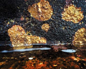 Close-up overhead view of food