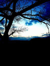 Low angle view of silhouette bare trees against sky