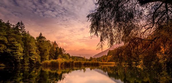 Scenic view of lake by trees against sky