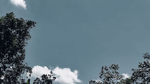 Low angle view of silhouette tree against sky