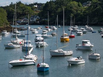 Boats moored in harbor