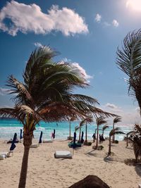 Palm trees on beach against sky