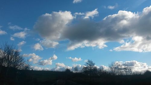 Low angle view of trees against cloudy sky