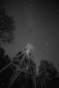 Low angle view of trees at night