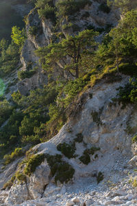 High angle view of stream flowing through rocks