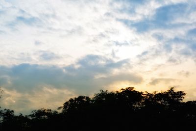 Low angle view of silhouette trees against sky during sunset