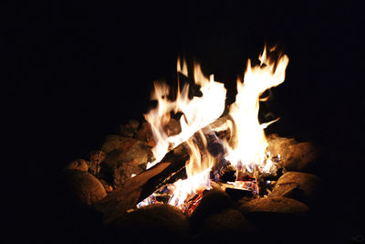 Close-up of bonfire at night