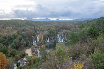 Scenic view of river amidst trees against sky