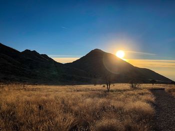 Scenic view of field against bright sun