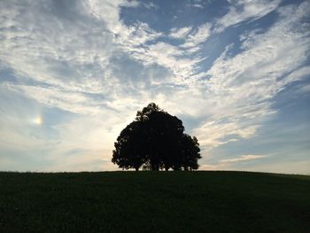 Trees on field against cloudy sky