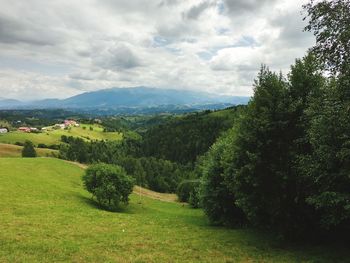 Scenic view of landscape against sky