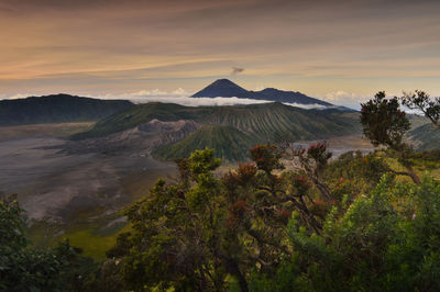 Scenic view of landscape against cloudy sky during sunset