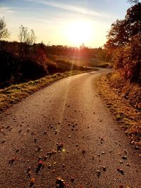 Road amidst plants against sky during sunset