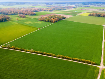 Scenic view of agricultural field