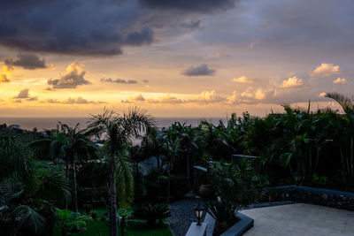 Scenic view of palm trees against sky during sunset