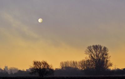 Silhouette bare trees against sky at sunset