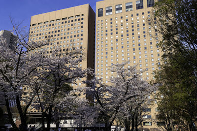 Low angle view of trees against sky