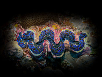 Close-up of multi colored painting on sea