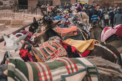 People and horses in petra