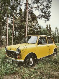 Yellow vintage car on field