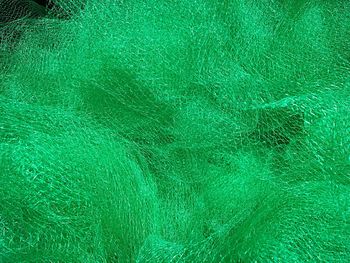 Full frame shot of leaf