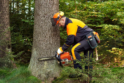 Professional lumberjack with protective workwear and chainsaw working in a forest