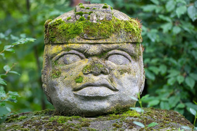 Close-up of statue