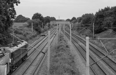 Railway tracks amidst trees against sky