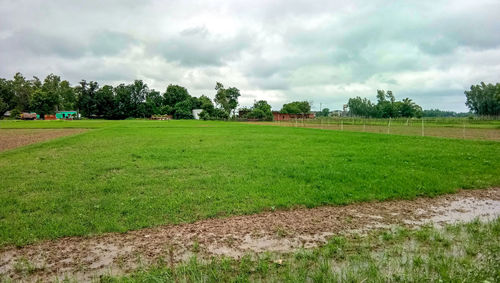 Scenic view of farm against sky