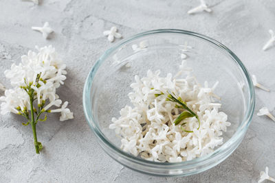 Close-up of white flowers