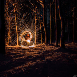 View of illuminated trees at night