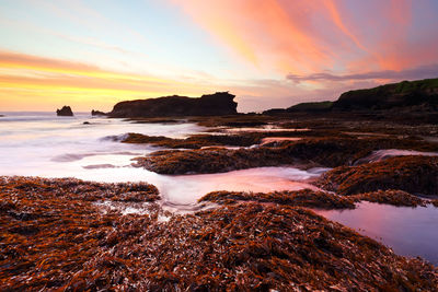 Scenic view of sea against sky during sunset