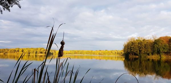 Scenic view of lake against sky