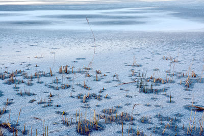 Close-up of frozen water against sky