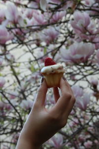 Cropped hand holding sweet food against flowers