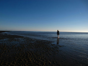 Man standing on calm beach against clear blue sky