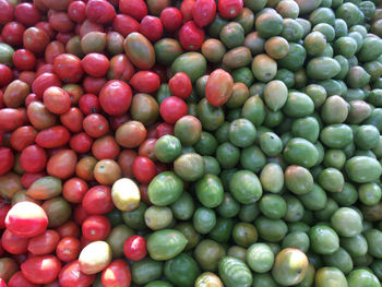 Full frame shot of fruits at market