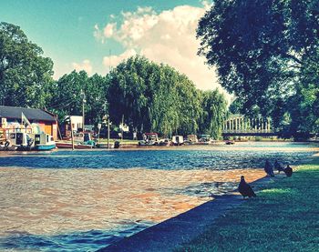 Man sitting on riverbank against sky