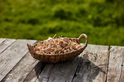 Close-up of food on table