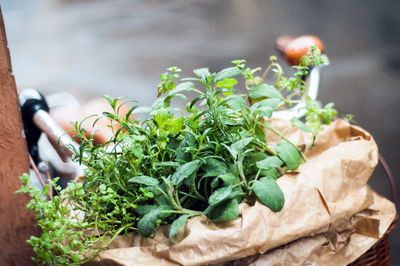 Close-up of food on table